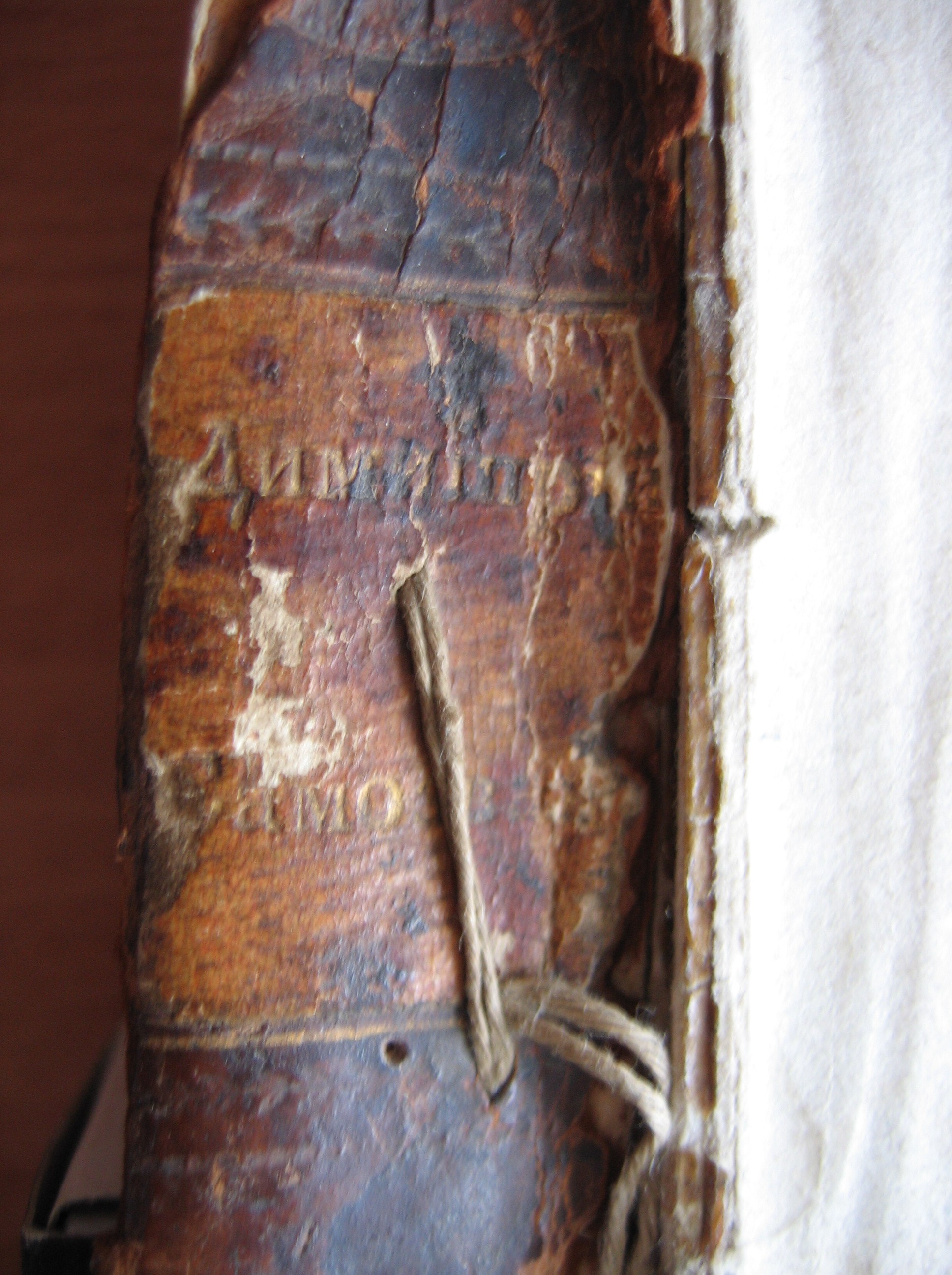 Корешок. Книга 3.